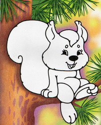 56537899_belka.jpg