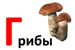 Азбука. Дидактические карточки  Г